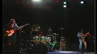 The Beatles/She Loves You(Cover)-Ningen Isu