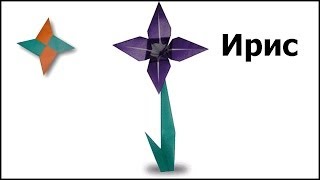 Оригами ирис: видео мастер-класс