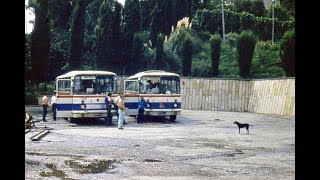 Транспорт 20 века. Автобусы как фото образ