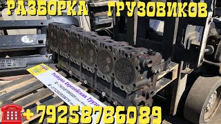 18.06.19 Минск ГБЦ MAN TGA 18.430 двигатель D2066LF01 Разборка Европейских грузовиков тягачей