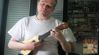 Ukulele solo: Beatles Medley