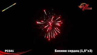 PC541 Биение сердец