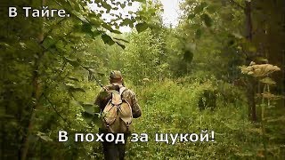 В Тайге. В поход за щукой!