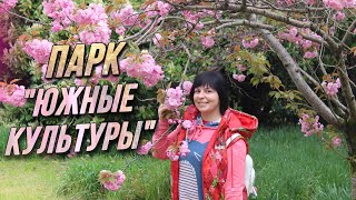СОЧИ 2019: VLOG • Второй день • Парк «ЮЖНЫЕ КУЛЬТУРЫ» В АДЛЕРЕ • Весна в Сочи • ВСЁ ЦВЕТЁТ!