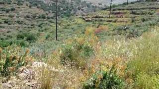 Βάθεια Λακωνίας Μάνη- Vathia  Lakonias Mani
