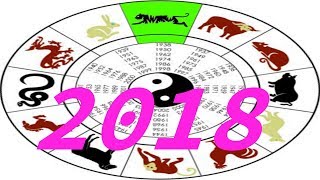 Восточный гороскоп на 2018 год для знака Тигр