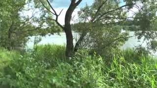 Мошковский залив и дачи в Никулинках 12.06.2013