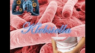 Klebsiella