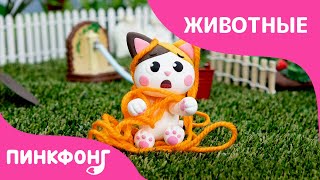 Котёнок из Пластилина | Домашние животные | Ручные работы для детей | Пинкфонг Песни для Детей