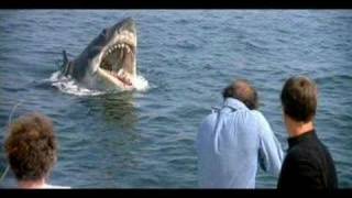 Tribute to Jaw's Roy Scheider