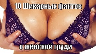 10 Шикарных фактов о женской груди