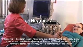 1 триместр беременности, 1, 2 и 3 месяцы - с 1 по 12 неделю