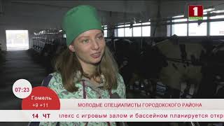 Молодые специалисты городокского района. Эфир 14.11.2019