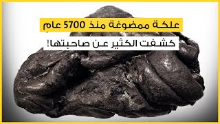 علكة ممضوغة منذ 5700 عامٍ كشفت الكثير عن صاحبتها!