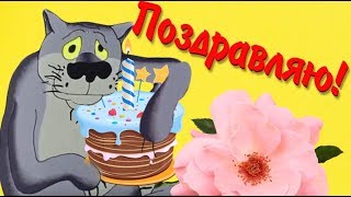 И я  ВОЛК  - поздравляю тебя  с  днём старения  - ой  с днём рождения ! #Мирпоздравлений
