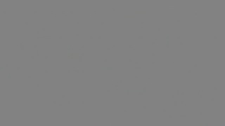 safariLIVE - Sunrise Safari - Nov. 05, 2017