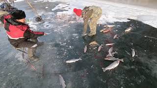 Рыбалка на Камчатке 01 12 2019 г