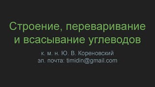 Строение, переваривание и всасывание углеводов
