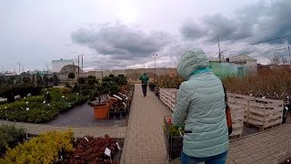 Поездка в питомник садовых растений