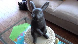 Happy Easter From MountainRiderThomas