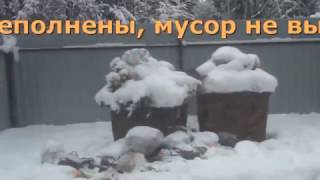 Пушкино Невзоровское
