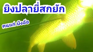 ดำน้ำยิงปลา โดย อาจารย์ เอก บึงอ้อ EP.3