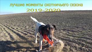 лучшие моменты охотничьего сезона 2019 2020 часть первая, заяц  (бакс продакшн и гоп компания)