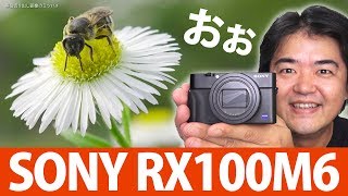 SONY RX100M6 使い倒し徹底レビュー！高速AF・高速連写 24−200mm高倍率ズームレンズ 最大撮影倍率？長時間露光 ゴースト・光芒