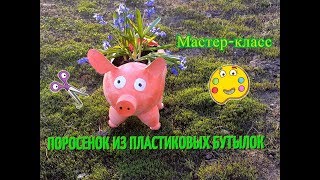 Клумба для цветов из пластиковых бутылок. Поросенок из пластиковых бутылок. Поделки для сада и дачи.