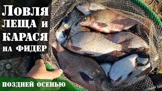 Ловля леща и карася на фидер осенью. Супер рыбалка! : Рыболовный дневник