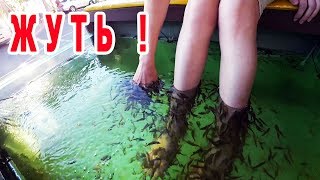 ПЕРВЫЙ РАЗ В ФИШ СПА. ПОЧЕМУ ЭТО ТАК СТРАШНО?  ? Паттайя Jomtien ?