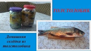 Толстолобик, СЕЛЕДКА из толстолобика, ПОЛНОЕ ВИДЕО, МАРИНОВАННЫЙ ТОЛСТОЛОБИК ДОМАШНИЙ