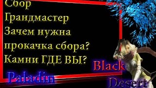 Black Desert #27 Сбор Грандмастер Зачем нужна  прокачка сбора? Камни ГДЕ ВЫ?