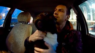 Едем в Арти
