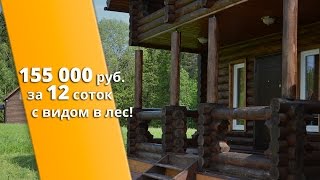 КП "Лесное Озеро" Рекламный ролик 155 000 руб.