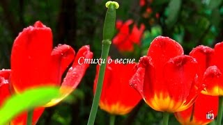А.С. Пушкин. «Еще дуют холодные ветры». Стихи о весне
