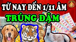3 Con Giáp Đắc Phú Quý Tiền Bạc Ùn Ùn Đổ Về Giàu Sang Chạm Nóc Tháng Giáp Tết 2023