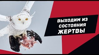 Как выйти из состояния жертвы или "а может ТЫ пидр?"