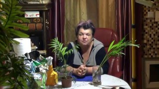 особенности ухода за пальмами. ХАРАКТЕРИСТИКИ КОМНАТНЫХ ПАЛЬМ.