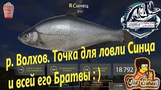 Русская Рыбалка 4. р. Волхов. Точка для ловли Синца, Рыбец.