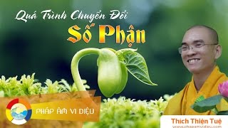 560. Quá Trình Chuyển Đổi Số Phận (Rất Hay) (ĐĐ Thích Thiện Tuệ)