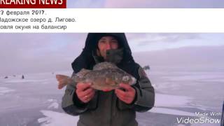 Зимняя рыбалка на Ладожском озере.  Ловим окуня на балансир.
тест экшен-камеры под водой.