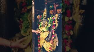 triupati balaji darshan by historical India