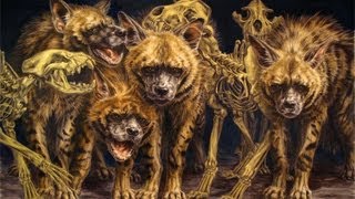 УСТРОЙСТВО ПОЛОВОЙ СИСТЕМЫ ГИЕН/НЕОБЫЧНЫЕ СПОСОБЫ РАЗМНОЖЕНИЯ