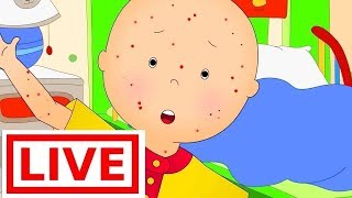 ? LIVE Caillou ESPAÑOL Se Enferma - Las Aventuras de Caillou | Dibujos Infantiles