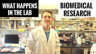 Day In The Life Of A Biomedical Research Scientist