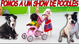FOMOS A UM SHOW DE POODLES