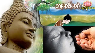 Chuyện Có Thật Con Đến Đòi Nợ, Nhân Duyên Hội Đủ Quả Báo Đến Liền Không Thoát Đâu Đươc