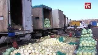 Инспекторы Госадмтехнадзора проверили продуктовый рынок в микрорайоне Левобережный