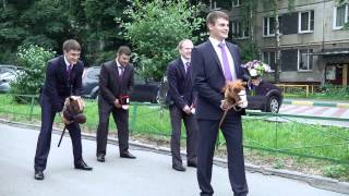 Оригинальный приезд на выкуп